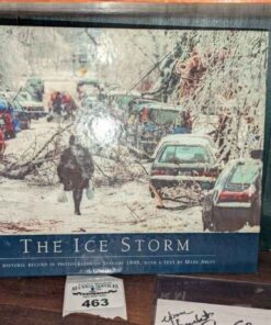 The Ice Storm book
