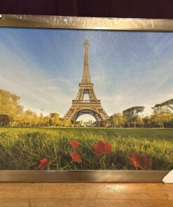 119 - Paris Eiffel Tower Picture