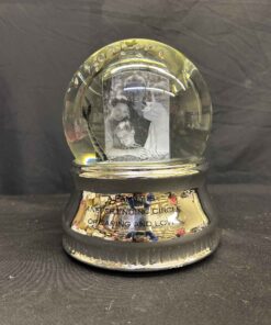 198 - Musical photo globe