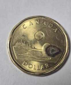 Unique loonie