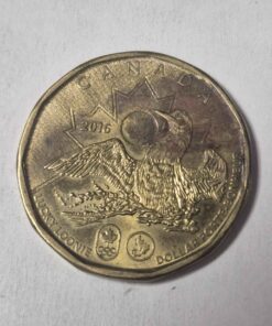 2016 lucky loonie