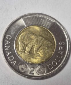 2025 nearly uncirculated condition toonie