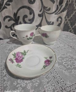 cup and saucer pink roses
