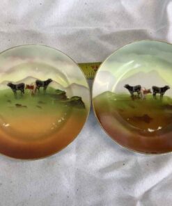 Royal Bayreuth Plates