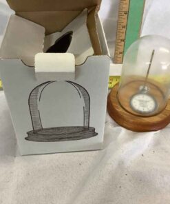 Watch/Treasure Dome - Oak