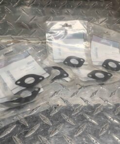 Briggs and Stratton intake gaskets