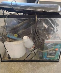 small aquarium with accessories