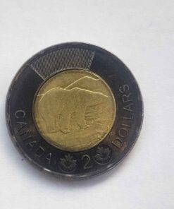 Coin black rim Toonie