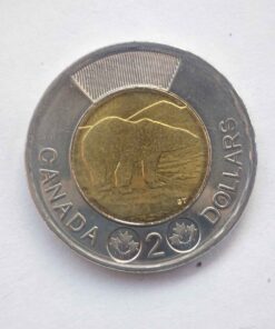 2025 non circ Toonie