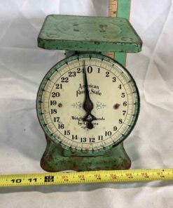 Vintage American Family Scale