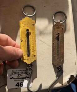 Pocket Balance fish Scales