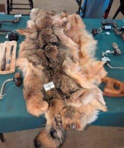 Fur Pelts