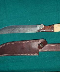 Collector Knife with Damascus steel blade and sheath
