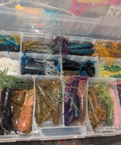 Soft bait in plastic tackle organizer