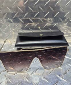 Sunglasses with black case