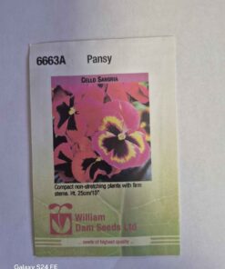 Cello Sangria pansy seeds