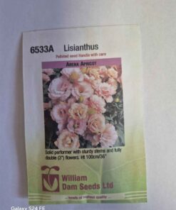 Arena Apricot Lisianthus seeds