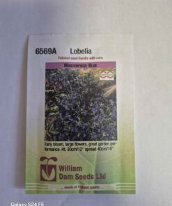 Masterpiece blue lobelia seeds