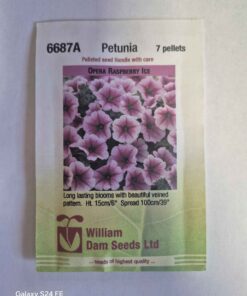 Opera raspberry ice petunia seeds