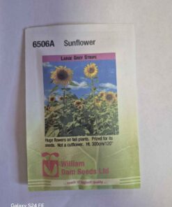 Large Grey stripe sunflower seeds