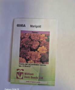 fireball marigold seeds