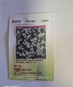 Snowtopia improved Bacopa seeds