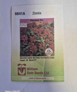 Profusion red Zinnia seeds