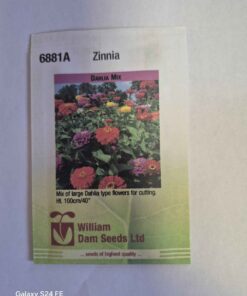Dahlia mix Zinnia seeds