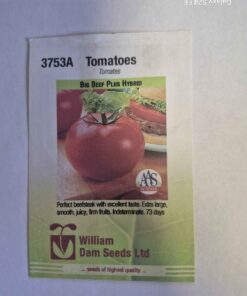 Big beef plus hybrid tomato seeds