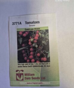 Handyman hybrid tomato seeds