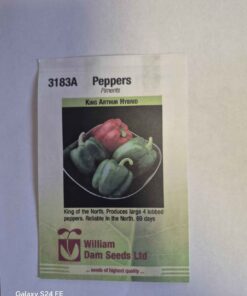 King Arthur hybrid pepper seeds