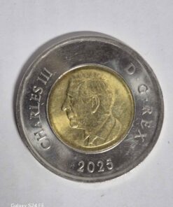 2025 excellent condition toonie
