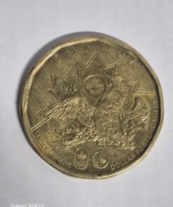 2016 lucky loonie