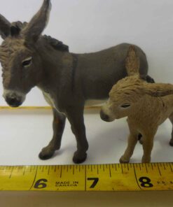 Jerusalem donkey jenny with foal and a Billy goat