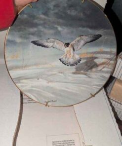 Collector plates - assorted