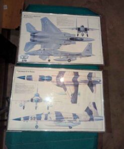 Framed McDonnell Douglas F-15 Eagle & Northrop F-5 Tiger