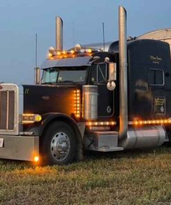 1998 Peterbuilt CON 379