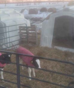 Group calf hutches