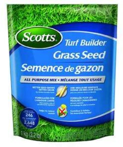 Scott's turf builder grass seed