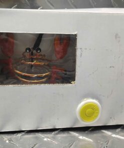 Crawfish string light set