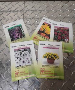 Assorted flower seeds