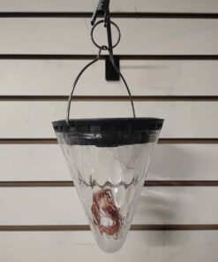 Solar Clear cone light