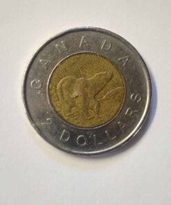 1996-2006 specialty Toonie .... APPEARS TO BE ERRORS IN BOTH THE BEAR'S BELLY AND ABOVE THE QUEEN'S EYE