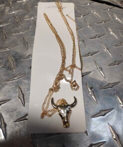 Western style mirror pennant