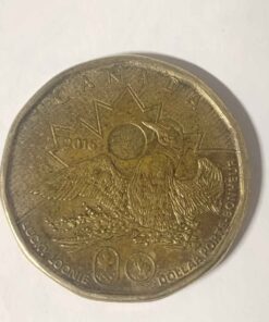 2016 lucky loonie