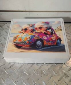 Grandma's to the beach puzzle