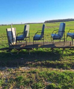 Red Horse-drawn Sleigh