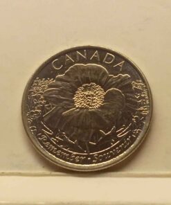 2015 in Flanders Fields quarter