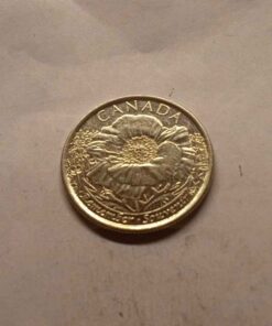 2015 in Flanders Fields quarter