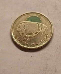 2011 wood bison colored quarter